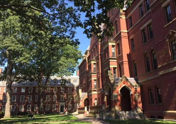 悉尼大學商科輔導