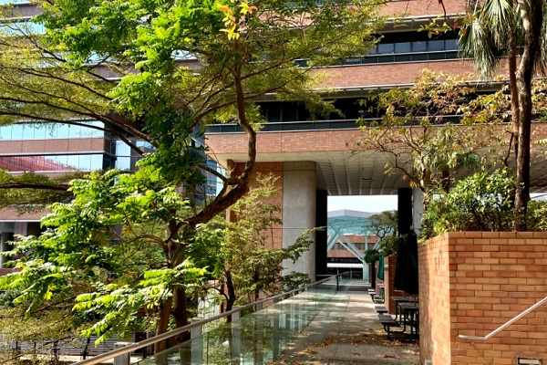 香港嶺南大學(xué)應(yīng)用心理學(xué)課程補習(xí)